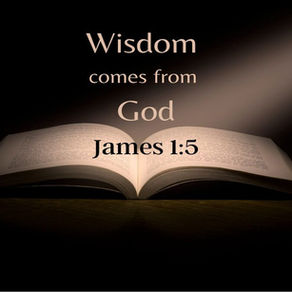 Misunderstanding True Wisdom