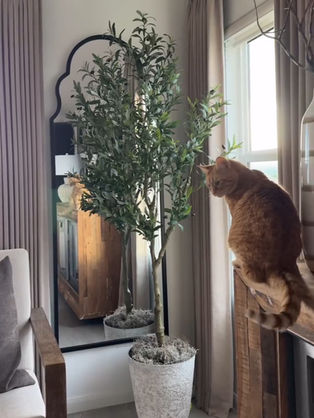 Faux olive trees