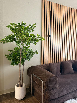 Faux ficus trees