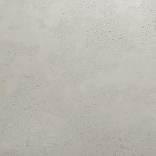 017 Arctic Fox Koncrete Textured.png