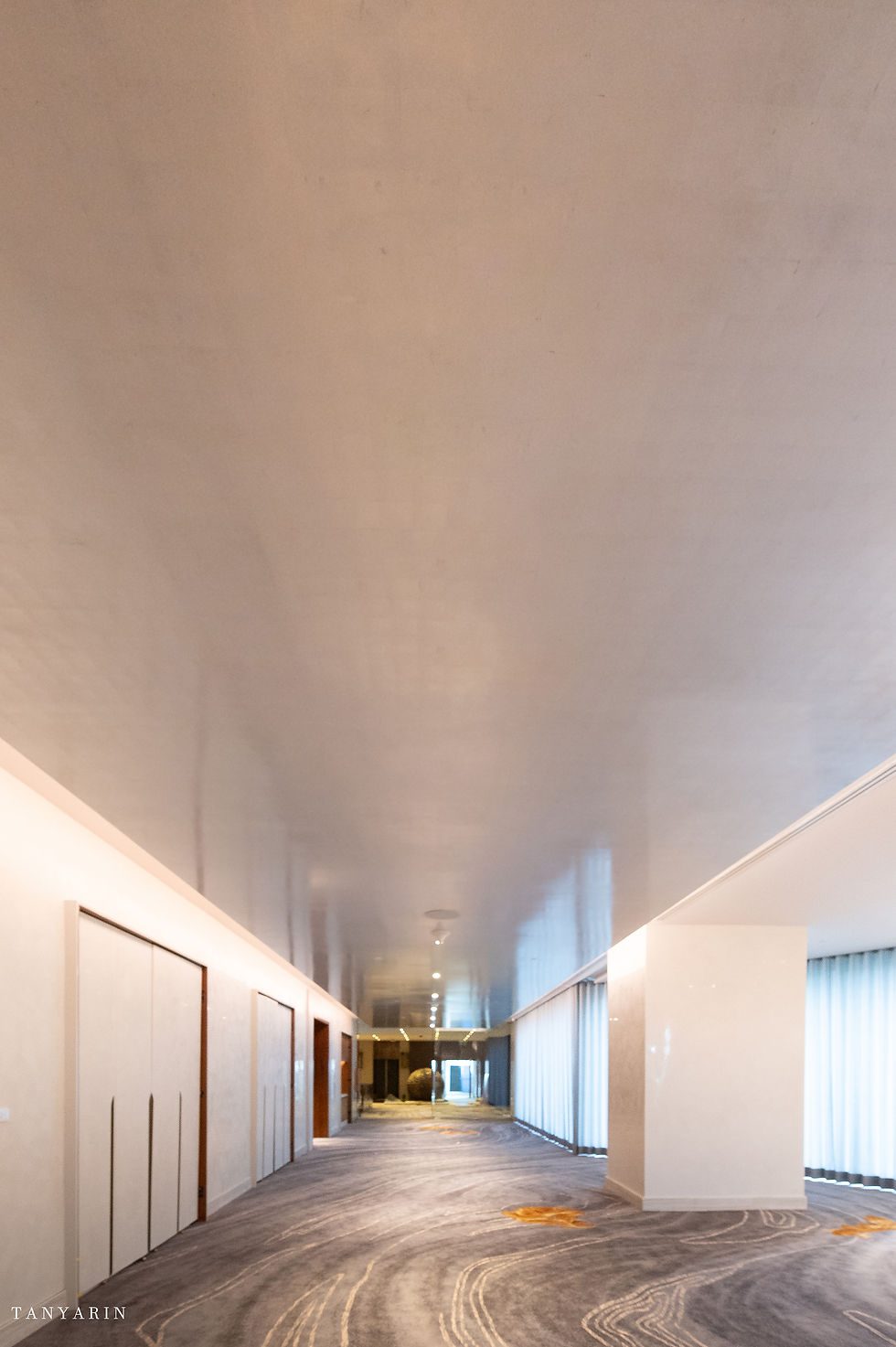 Silver Gilding Millennium