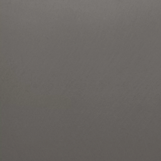 041 Sooty Owl Smooth.png