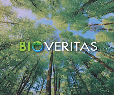 DesktopBackgroundTrees.jpg