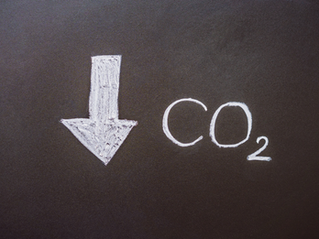 CO2 reduction