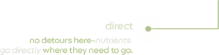 direct saline bullet.png