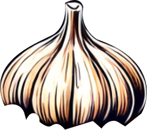 garlic.png