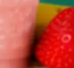 website file bagel blvd-19.webp