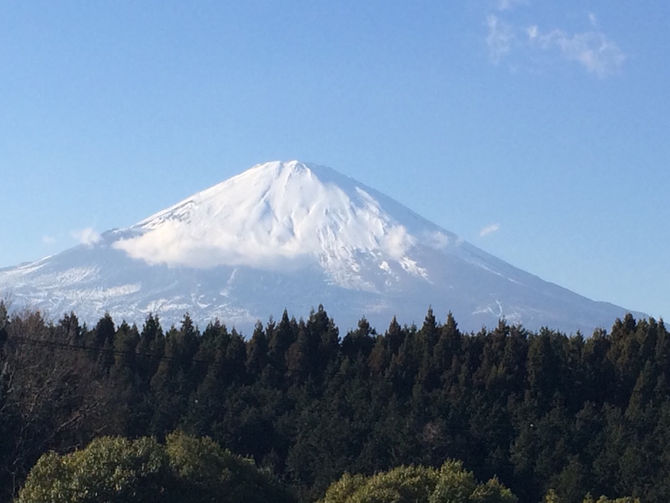 ☆あけましておめでとうございます☆