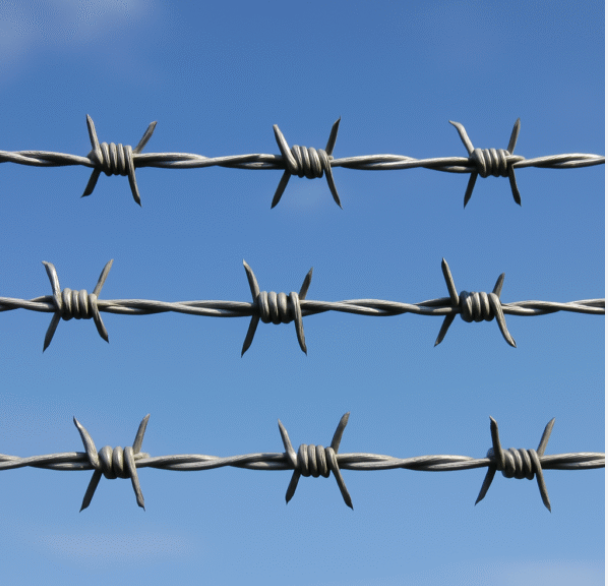 barbed wire