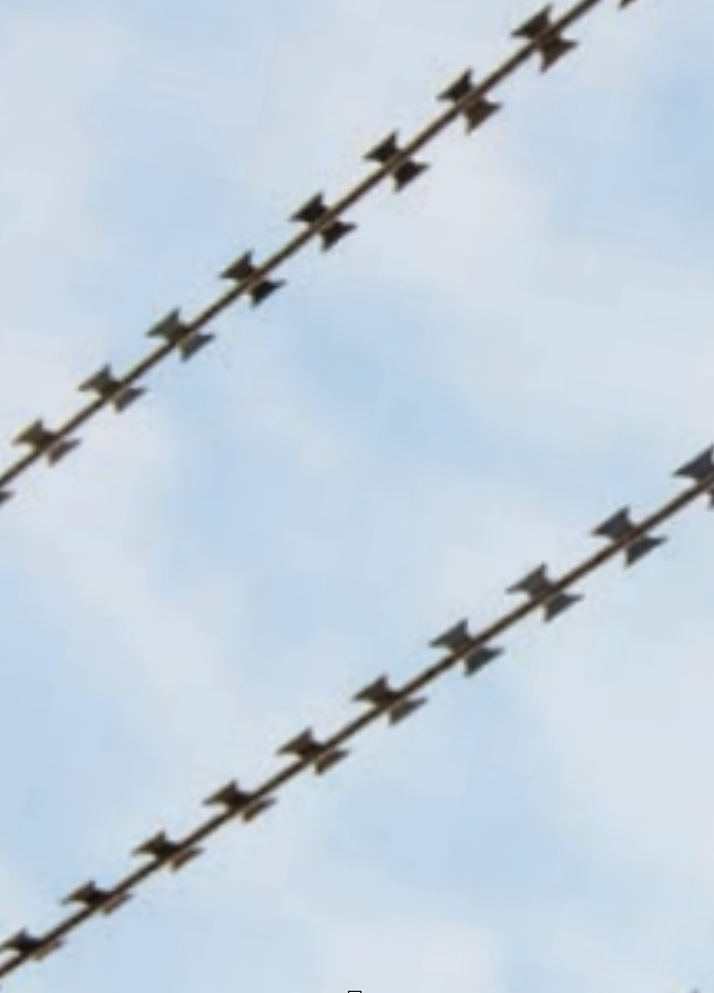 razor wire