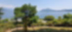 rilievo lago
