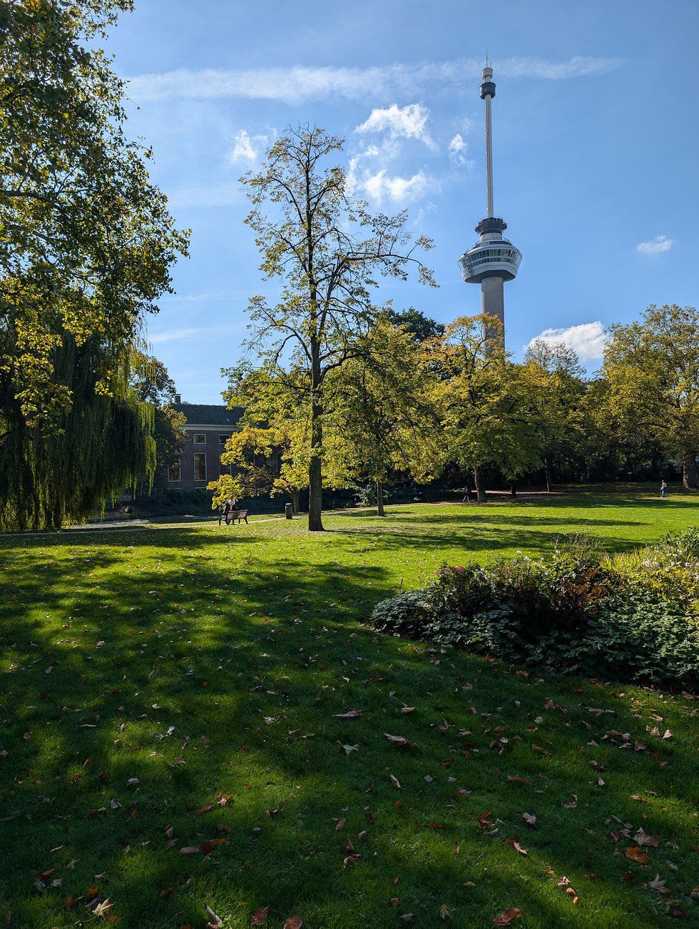 Tall communication tower rises behind trees in a sunlit park. People walk along a path. Clear blue sky and lush greenery create a serene mood.
