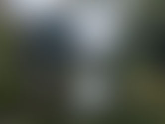 One of Rotterdam's many ponds and parks that line the residential streets