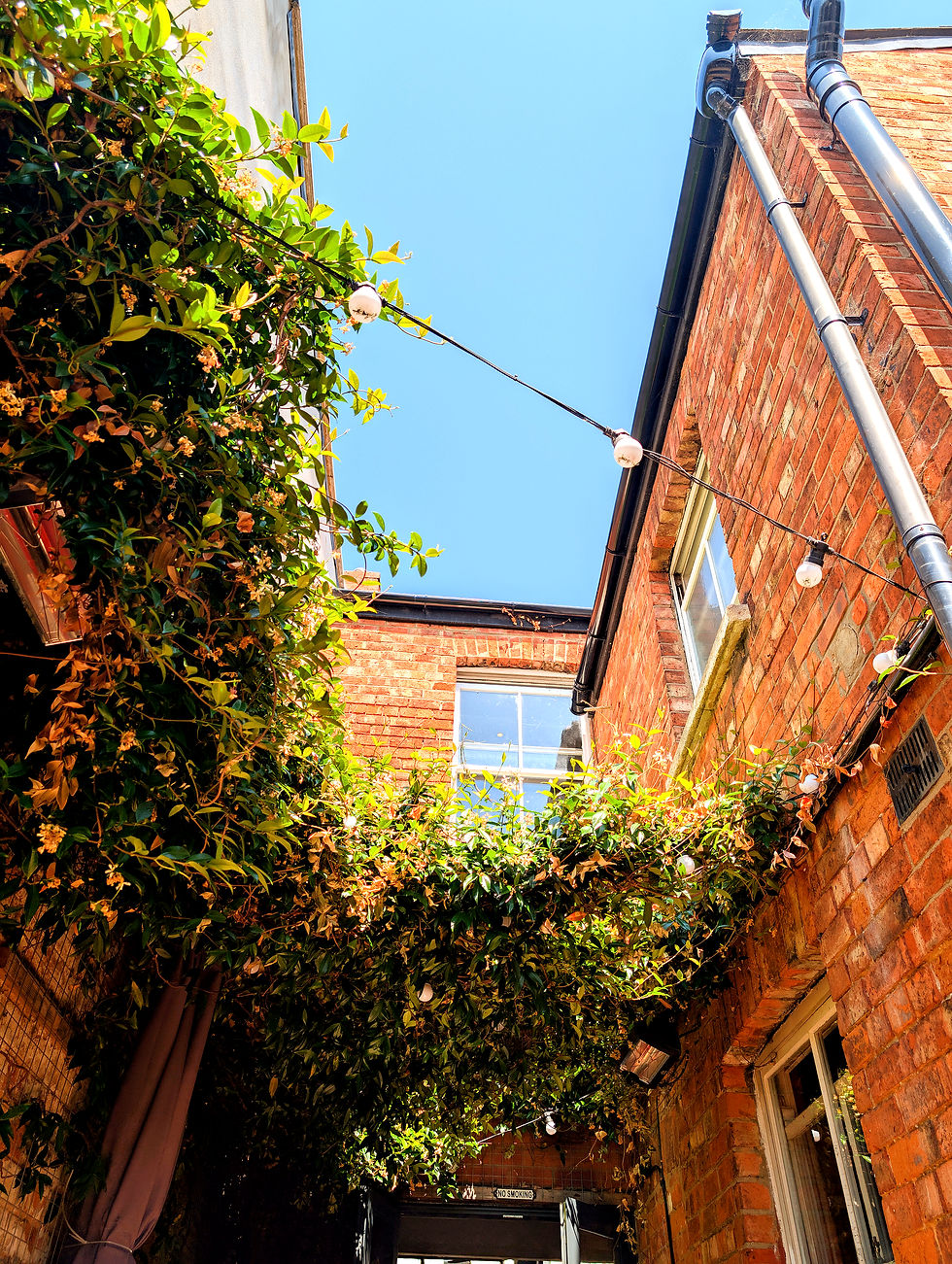 Courtyard of Baker & Graze in Montpelier