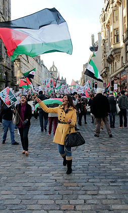 protest palastine flag.jpeg