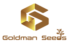 GS-Logo-1-Transparent.png