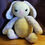 Thumbnail: Reggie the Rabbit