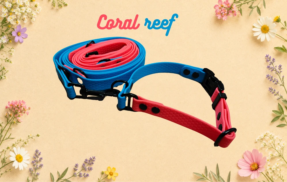 Set obojku a vodítka Coral Reef