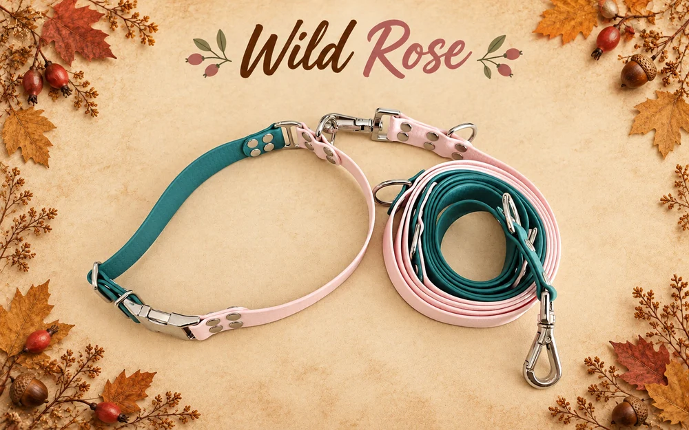 Set obojku a vodítka Wild Rose