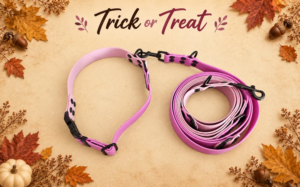 Set obojku a vodítka Trick or Treat