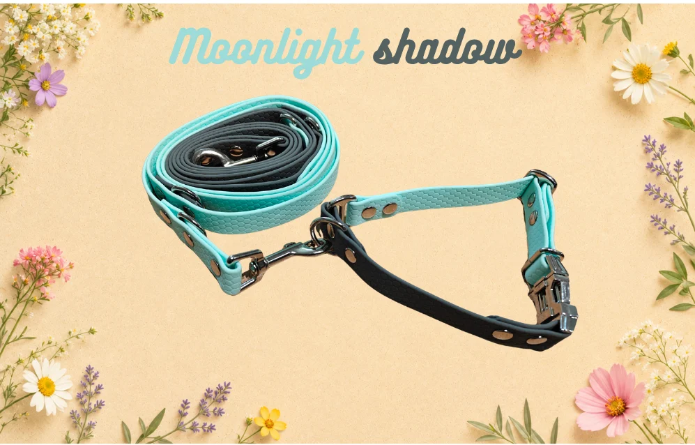 Set obojku a vodítka Moonlight Shadow