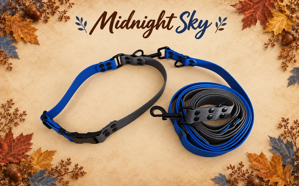 Set obojku a vodítka Midnight Sky