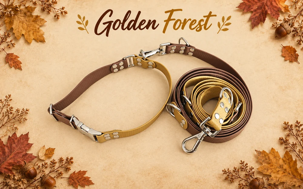 Set obojku a vodítka Golden Forest