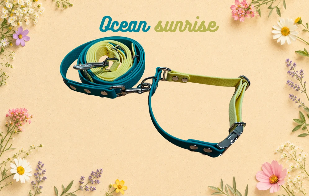 Set obojku a vodítka Ocean Sunrise