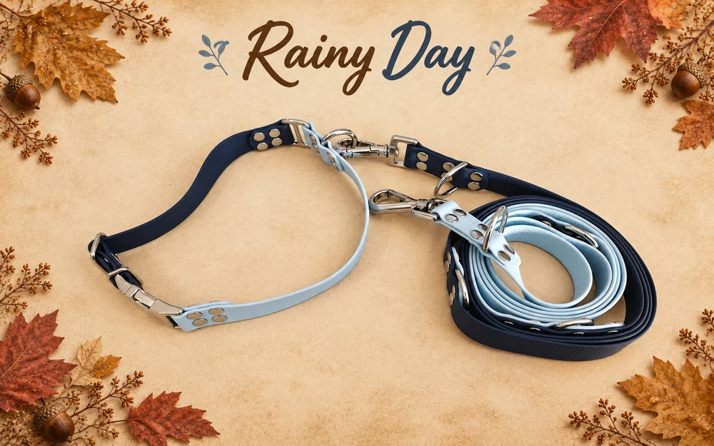 Set obojku a vodítka Rainy Day