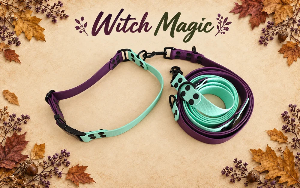 Set obojku a vodítka Witch Magic