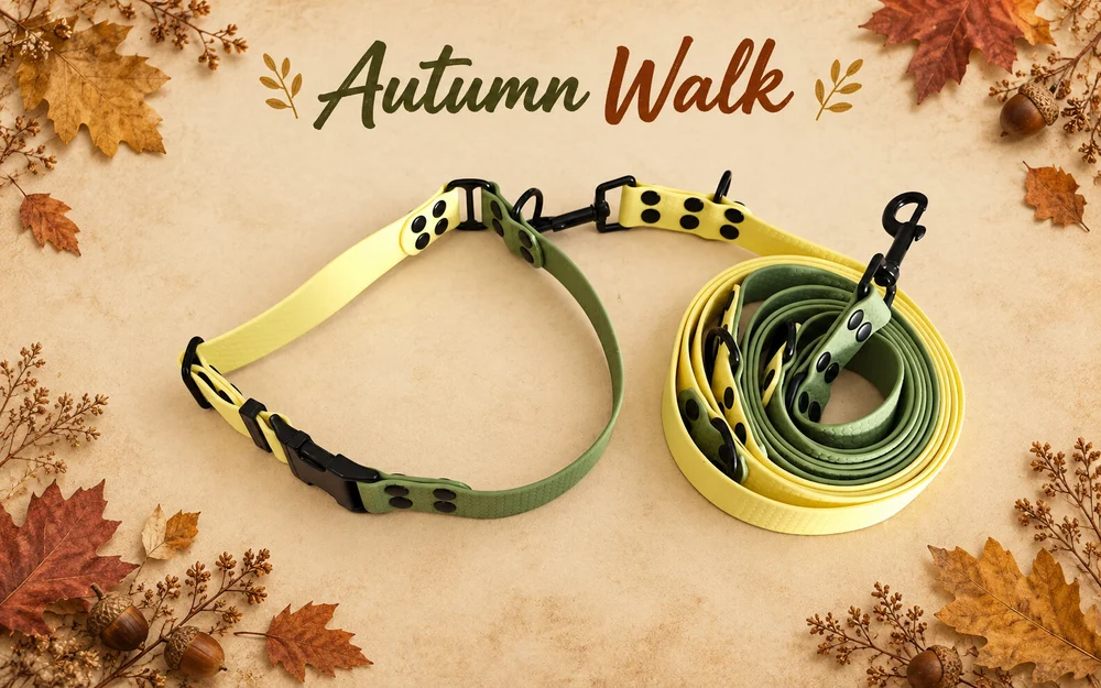 Set obojku a vodítka Autumn Walk