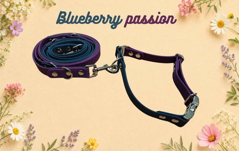 Set obojku a vodítka Blueberry Passion
