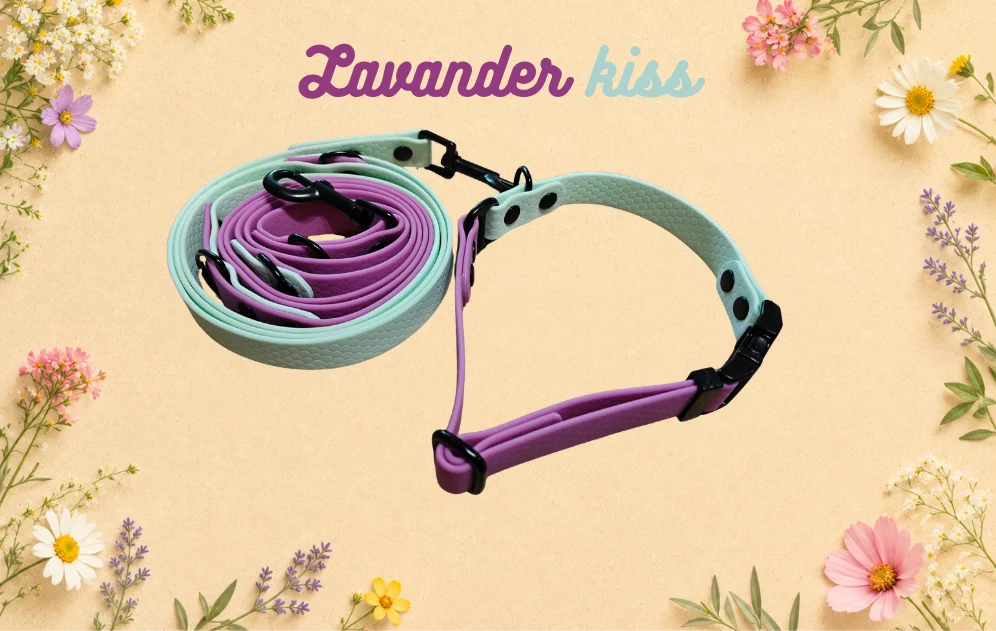Set obojku a vodítka Lavender Kiss