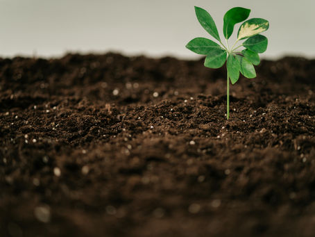 Why Horizontal Data Isn't Enough: A Farmer's Case for Soil Health Depth Mapping