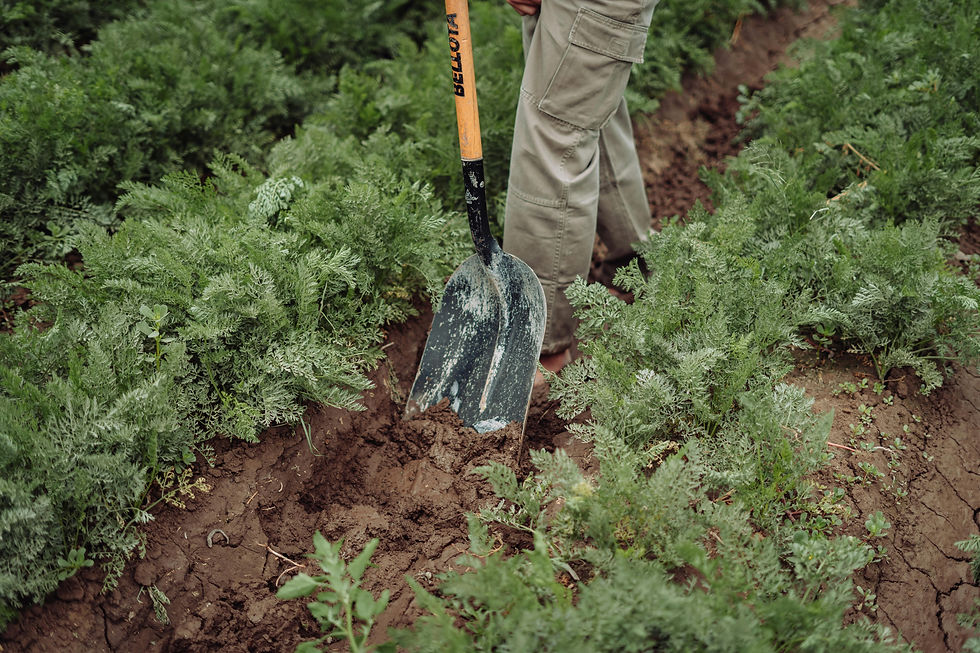 Join the Field: How to Pilot the Subterra Green on Your Operation