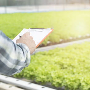 From Gut Feel to Ground Truth: How Field Labs Are Rewriting the Rules of Agricultural Research