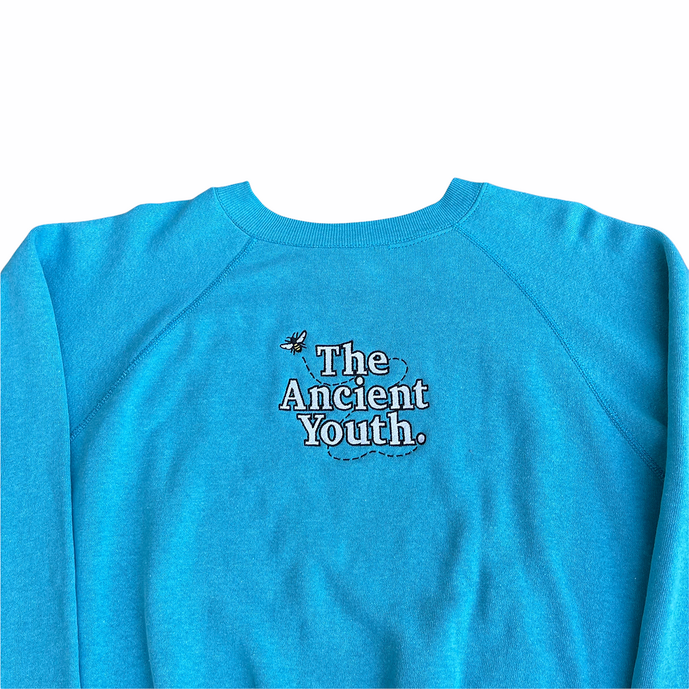 Thumbnail: turquoise - crewneck (medium)