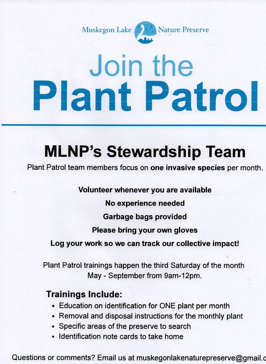 Plant Patrol.jpg