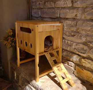 cabane à chats