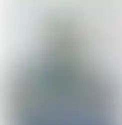 Prince Wilhelm Knuedler