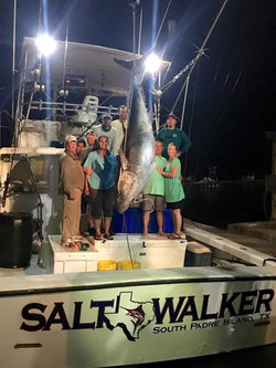 Salt Walker Deep Sea Fishing