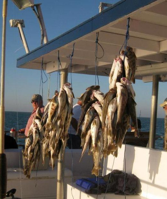 Charter Fishing | danny-b