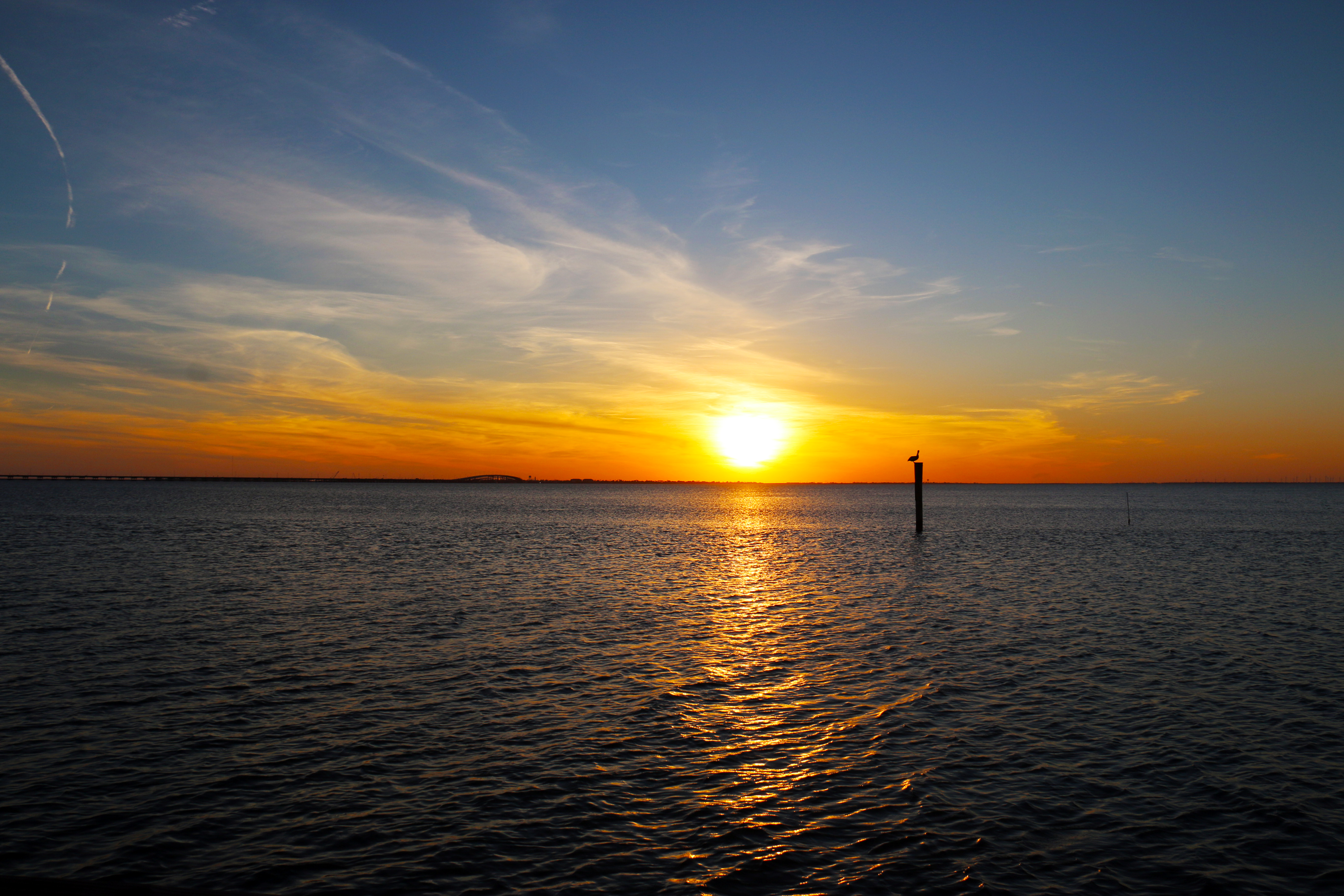 The Bay