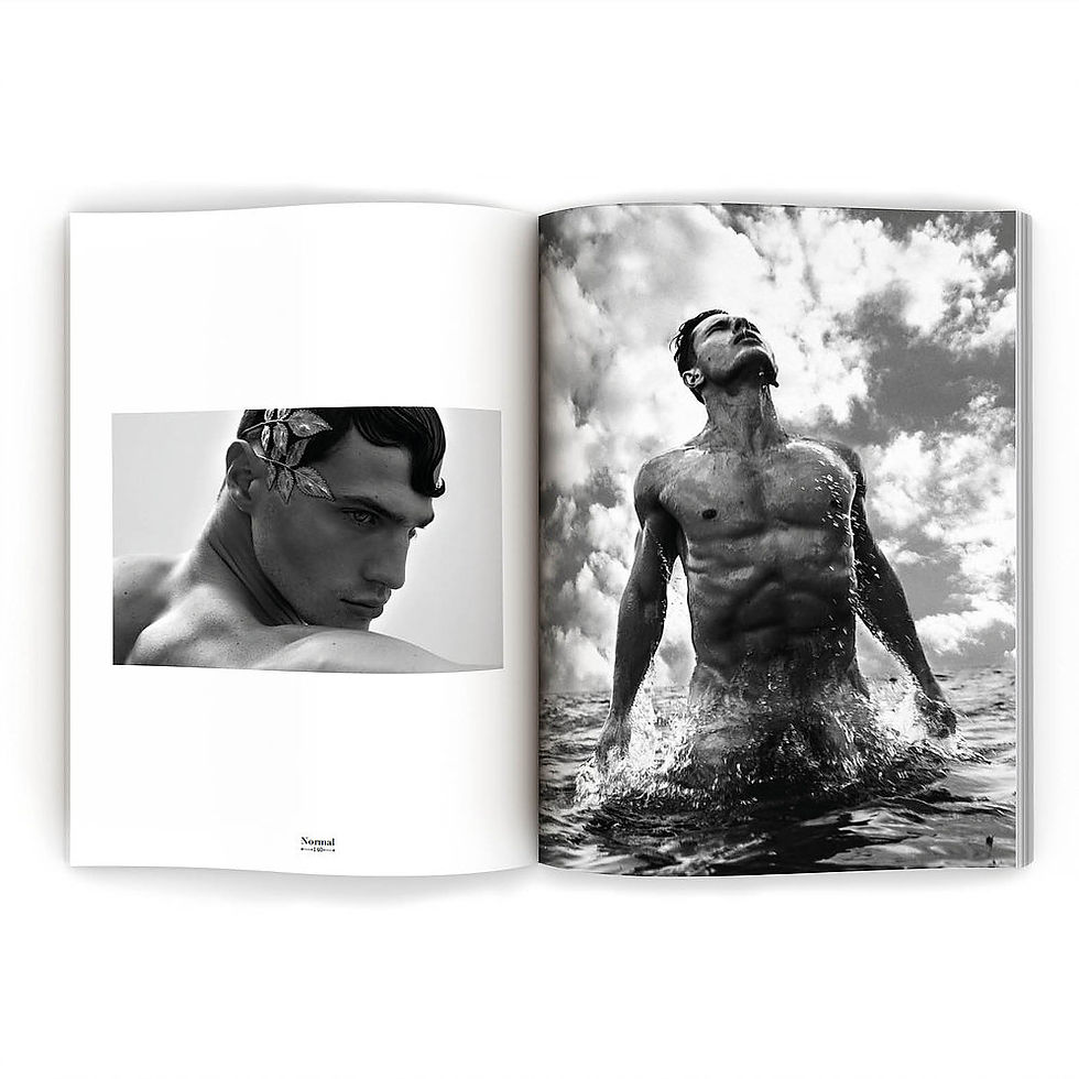 サムネイル： Normal Magazine N°7