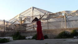 Screen Shot 2017-03-15 at 12.57.20 PM