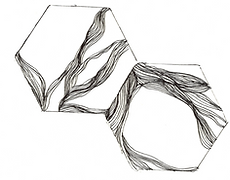 Hexagons floating.png