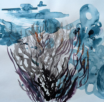 Trois (3)- Bonne Nuit, Corail (Good Night, Coral)