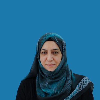 بێگەرد باپیر  سەعید