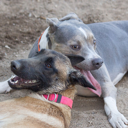 2016-08-10 06.52.49-1.jpg