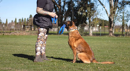 IMG_7784_edited_edited.jpg